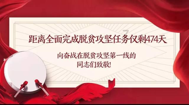 萌宠好又多