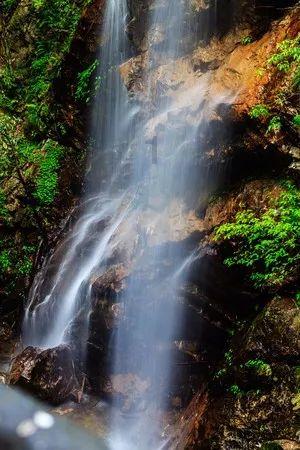模拟山羊