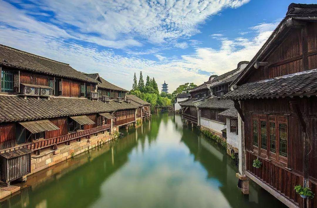 面包店甜品